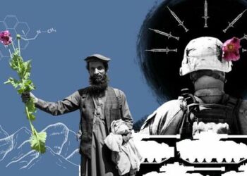 Taliban’s Massively Successful Opium Eradication Raises Questions About What US Was Doing All Along