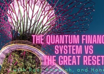 The Quantum System Vs The "g" Reset
