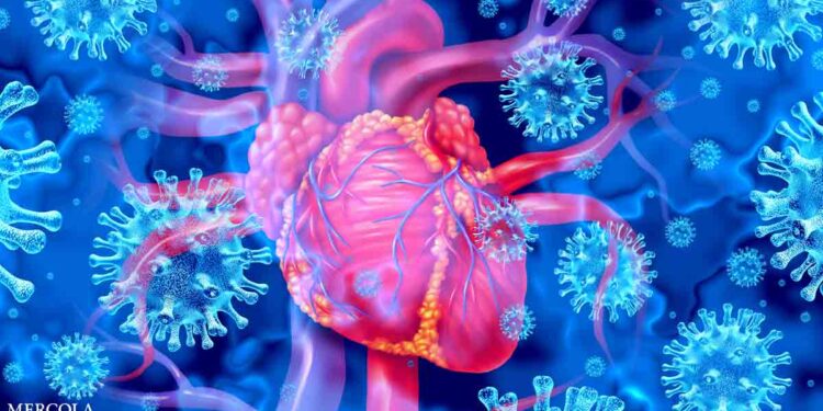 The Spike Protein Injury You Need to Know About