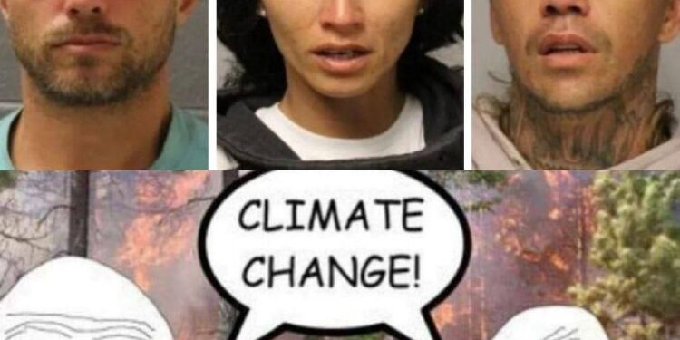 The three criminals at the top were arrested and two were prosecuted for arson on Maui in May 2022. They attempted to se…