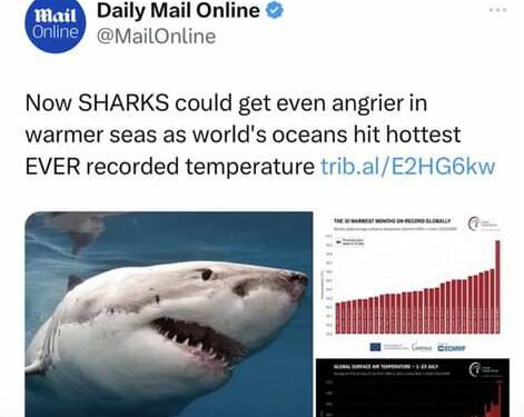 They’re trying so hard!! “Angrier” sharks! Hilarious.