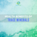 Trace Minerals for Longevity