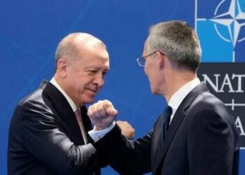 Türkiye Quietly Renounces NATO Links, But Not NATO Benefits