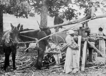 Unnecessary Outrage Stirred By Florida’s African American History Curriculum