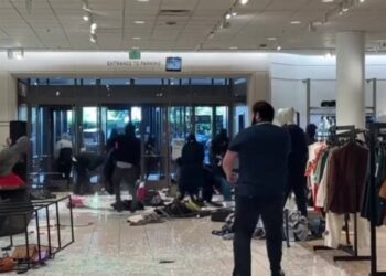 Video: Up to $100,000 in Merchandise Stolen From Los Angeles Nordstrom Ransacked by Dozens of Looters Who Attacked Security Guards With Bear Spray | The Gateway Pundit