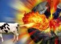 Why Flatulent Cows Matter | ZeroHedge