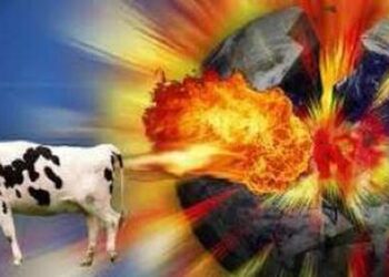 Why Flatulent Cows Matter | ZeroHedge
