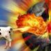 Why Flatulent Cows Matter | ZeroHedge