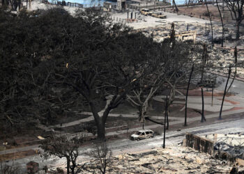 Wildfires ‘Likely the Largest Natural Disaster’ in Hawaii History