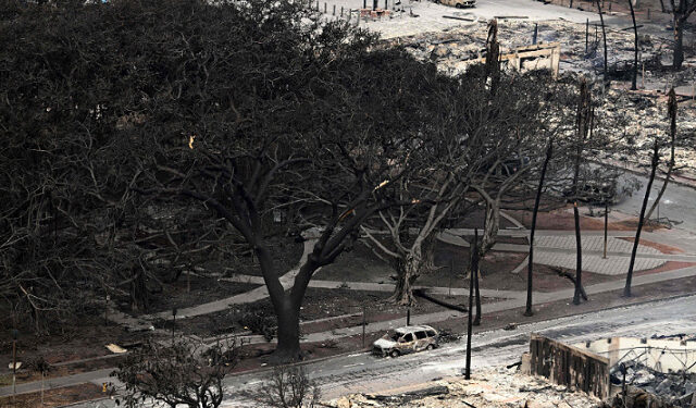 Wildfires ‘Likely the Largest Natural Disaster’ in Hawaii History