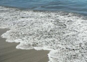 Will Insurance Costs Derail The EV Revolution?