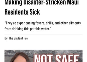 https://vigilantnews.com/post/not-safe-government-provided-drinking-water-is-making-disaster-stricken-maui-residents-sic…