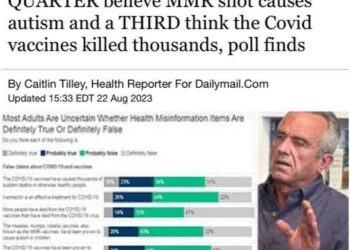 https://www.dailymail.co.uk/health/article-12433533/Americas-antivaxx-believe-MMR-vaccines-autism-Covid-deaths-KFF.html