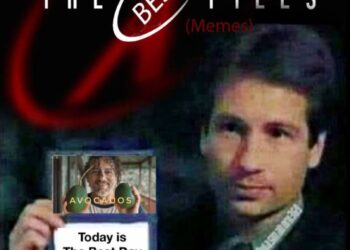 All my favorite current links. My linktree! Check it: https://frequencylifestyle.org/david-avocado-wolfe/links