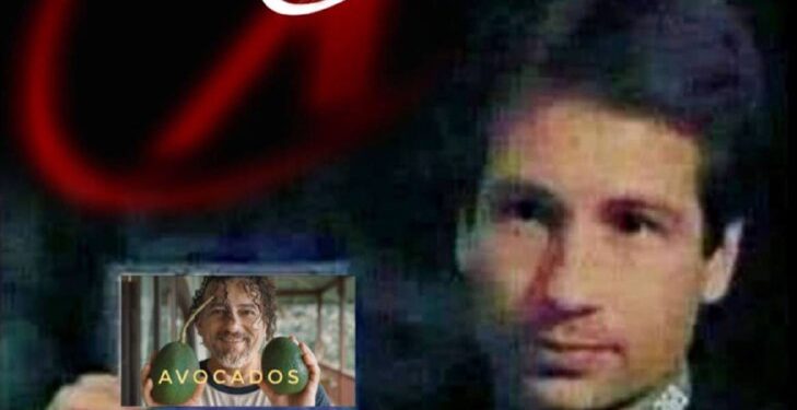 All my favorite current links. My linktree! Check it: https://frequencylifestyle.org/david-avocado-wolfe/links