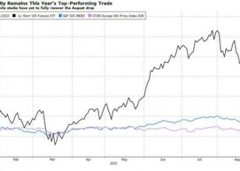 Betting Against Fear Has Really Paid Off This Year