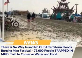 Breaking: Burning Man Update!!