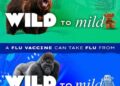 CDC Rolls Out ‘Wild To Mild’ Flu Shot Campaign To Reach Vaccine-Hesitant