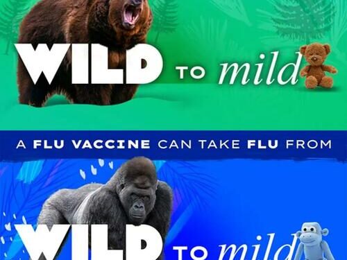 CDC Rolls Out ‘Wild To Mild’ Flu Shot Campaign To Reach Vaccine-Hesitant