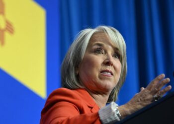 David Hogg Blasts New Mexico Governor’s Ban on Concealed Carry