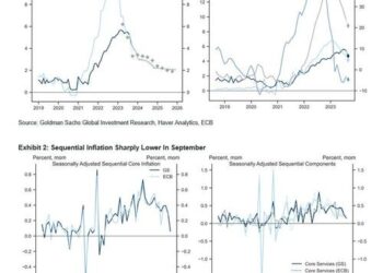 “Do You Understand What We Are Saying?”