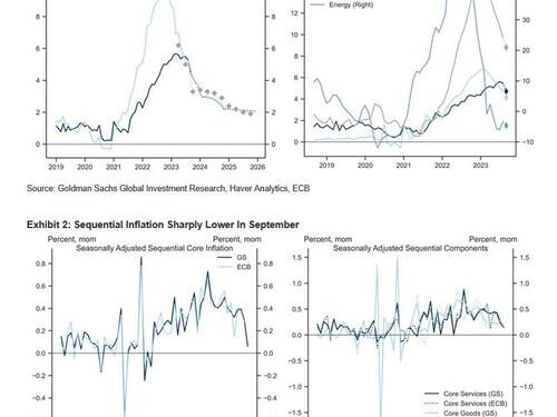 “Do You Understand What We Are Saying?”