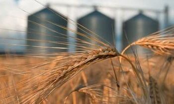 European Commission Grapples With Influx Of Ukraine Grain