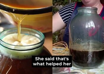 FT 000013 L59 VR118 16×9 2m30s 230831O