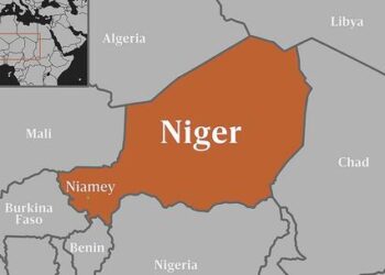 ‘French’ Goat’s Throat Slit In Massive Niger Protest Demanding Withdraw Of French Forces