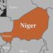 ‘French’ Goat’s Throat Slit In Massive Niger Protest Demanding Withdraw Of French Forces