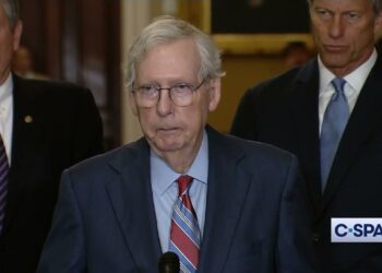 GOP Senators Weigh ‘Special Meeting’ on Leadership After Doctor Suggests McConnell May Be Experiencing Small Seizures | The Gateway Pundit
