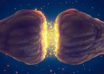 ‘Gut Instinct’ Cause For Numerous Sensory Symptoms In Long COVID, Doctors Offer Comprehensive Treatment