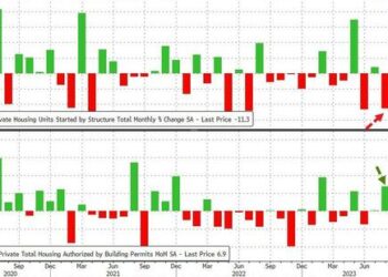 Housing Starts Plunged In August As Renter-Nation Collapses