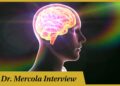 How to Retrain Your Limbic System for Better Health