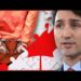 Journalists now being ARRESTED for criticizing dictator Justin Trudeau  w Clayton Morris