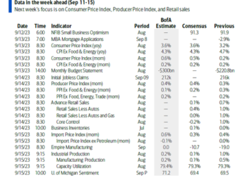 Key Events This Extremely Busy Week: CPI, PPI, Retail Sales, ECB, China Data Dump, new iPhone, ARM IPO, UAW Strike And More