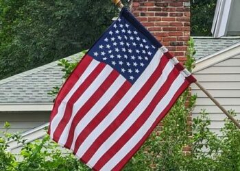 New Civics Program Can Help Bolster American Democracy