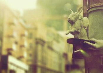 Peter Schiff: Fed Money Magicians Running Out Of Rabbits