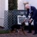 Report: Biden’s German Shepherd Commander Bites Another Secret Service Agent; 11th Attack | The Gateway Pundit