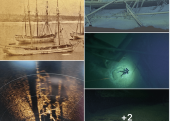 Shipwreck from 1881 Discovered Nearly Intact in Lake Michigan