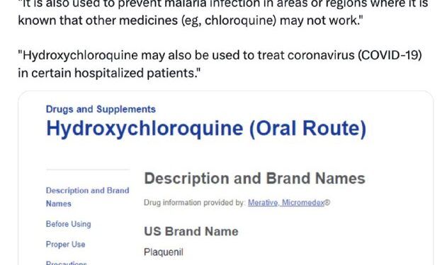 Telegram: Contact @davidavocadowolfe