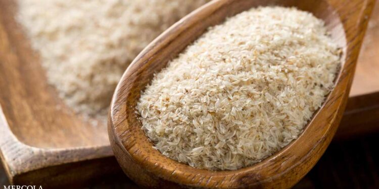 This Ancient Fiber Still Stands the Test of Time