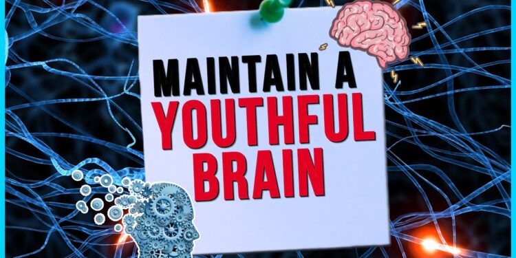 VN 000355 L65 VR615 16×9 2m30s 230822M