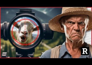 Vegan activists sink to new LOW attacking farms