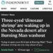 https://www.independent.co.uk/climate-change/news/dinosaur-shrimp-burning-man-festival-b2404895.html