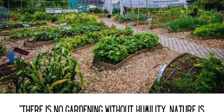 🥑Join: @davidavocadowolfe 🥑