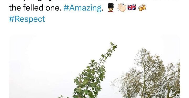 A 16-year-old boy was arrested in northern England last week in connection with what authorities described as the “delib…