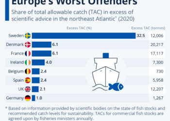 Atlantic Overfishing: Europe’s Worst Offenders