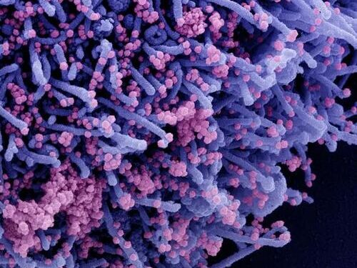 COVID Reinfections Clear Faster, Including In Unvaccinated People: Study