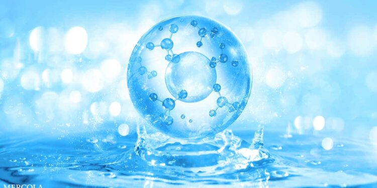 Could This Explain the Mysteries of the Human Body?